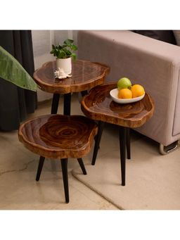 Wewood - Nesting Table Teak Wood with Transparent Resin Finish (Set Of 3)