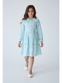 Blue color option, Currently selected
