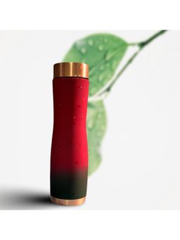 Lupaava - Multi-Color Solid Water Bottle