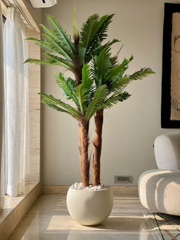 Mason Home - Artificial Sago Palm - 6Ft Green