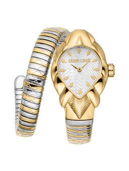 Roberto Cavalli - Women Analogue Watch Silver (RC5L110M0065) (M)