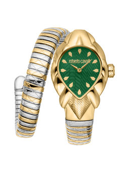 Roberto Cavalli - Women Analogue Watch Green (RC5L110M0075) (M)