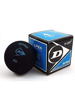 Dunlop Sports - Blue Dot Intro Squash Ball