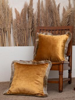 BELIHODE - Honey Gold Fringed Velvet Cushion Cover (Pack of 2) (16x16 inches)