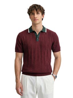 The Indian Garage Co - Men Maroon Slim Fit Textured Half Sleeves Polo T-Shirt