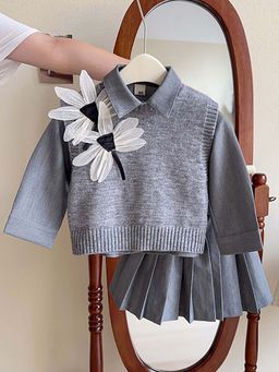 Little Surprise Box - Grey Dragonfly Skirt & Shirt with Sweater For Girls (Set of 3)
