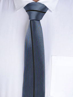 Alvaro Castagnino - Mens 100 Percent Microfiber Necktie