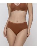 Brown color option, Currently selected