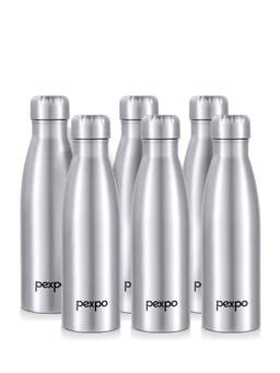 Pexpo - Genro Silver Stainless Steel Fridge Bottle - 700ml
