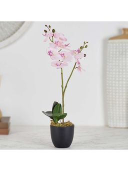 HomeTown - Ilana Artificial Orchid Potted Plant 40 cm In Pink Colour