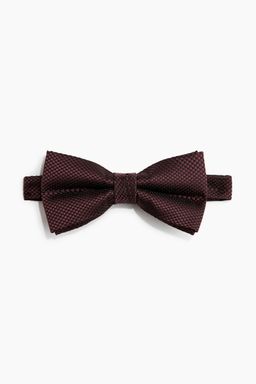 H&M - Men Purple Bow Tie