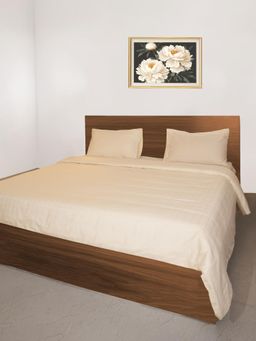 Oyvu - Beige Cotton 300 TC Queen Fitted Bedsheet with 2 Pillow Covers