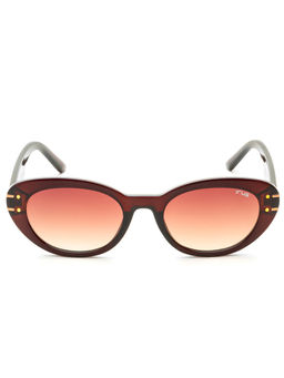 IRUS - Women Full UV Protected Brown Lens Sunglasses - IRS1282C2SG