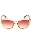 Brown color option, Sold out