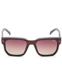Brown color option, Sold out