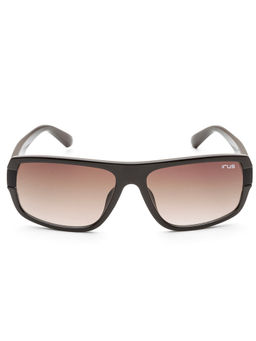 IRUS - Men Full UV Protected Brown Lens Sunglasses - IRS1312C3SG