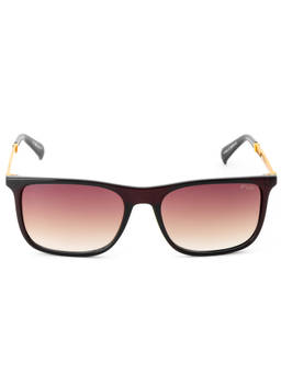 IRUS - Men Full UV Protected Brown Lens Sunglasses - IRS1329C2SG