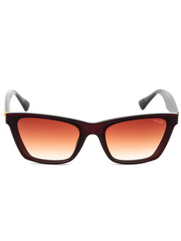 IRUS - Women Full UV Protected Brown Lens Sunglasses - IRS1350C2SG