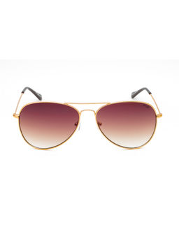 IRUS - Men Full UV Protected Brown Lens Sunglasses - IRS1358C16SG