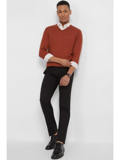 Allen Solly Men Rust Solid V Neck Full Sleeves Sweater