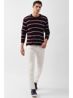 Peter England - Men Maroon Stripe Crew Neck Sweater