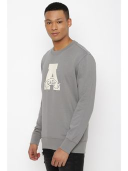 American Eagle - Men Grey Super Soft Icon Graphic Crew Neck