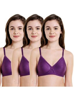Bodycare - Pack of 3 Seamless Cup Bra In Dark Purple Colour