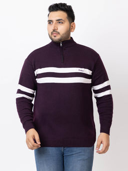 Kvetoo - Men Plus Size High Purple Neck Zipper Sweater
