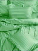 Green color option, Currently selected