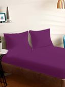 Purple color option