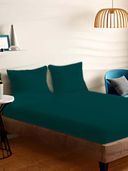 Teal color option