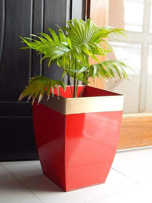 Ecofynd Midland 12Inches Red Tapered Planter