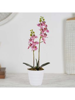 HomeTown - Ilana Artificial Orchid Potted Plant 40 cm In Pink Colour
