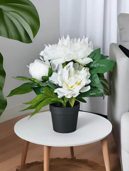At Home by Nilkamal - Peony Artificial Potted Plant White