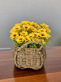 At Home by Nilkamal - Daisy Artificial Flower Potted Plant Yellow