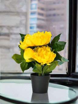 At Home by Nilkamal - Peony Artificial Flower Potted Plant|23.5 x 26.5 cm|Yellow