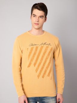 Cantabil - Men Mustard Sweater