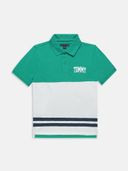Green color option, Currently selected
