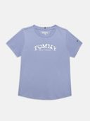 Purple color option, Currently selected