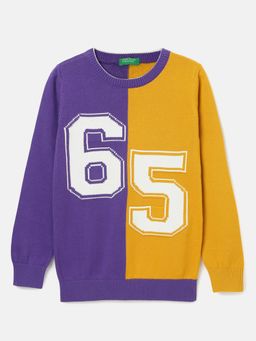 United Colors of Benetton - Purple Boys Regular Fit Crew Neck Colorblock Sweater