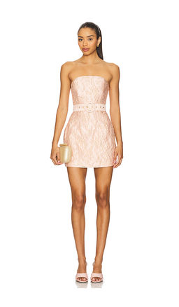 Lovers and Friends - Molli Mini Dress