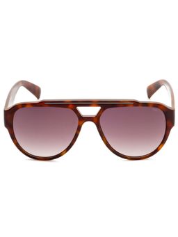 FILA - Full UV Protected Gradient Brown Lens Full Rim Pilot Sunglasses (57)