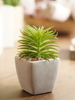 Pure Home + Living - Green Artificial Cactus Succulent Plant in Cement Pot