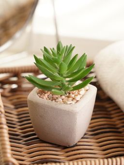 Pure Home + Living - Green Artificial Succulents with Pot