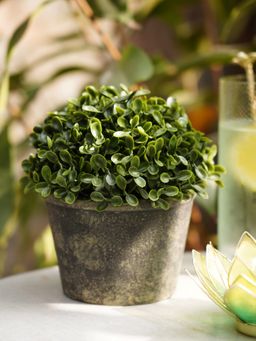 Pure Home + Living - Green Artificial Camillia Leaves with Pot