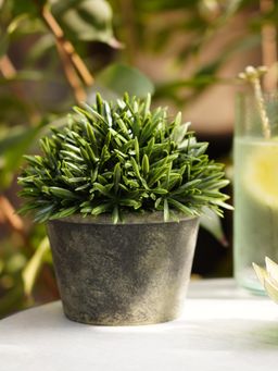 Pure Home + Living - Green Artificial Rosemary with Pot