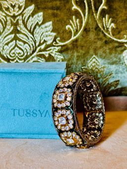 Tussya by Shreya - Baghban Kada Set