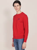 Red color option, Currently selected