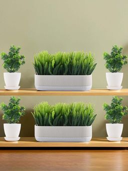 Kuber Industries - White Plastic Mini Artificial Plants with Pots & Trays (Pack of 6)