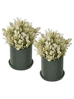 Kuber Industries - Green Plastic Artificial Small Plants with Pots (Pack of 2)